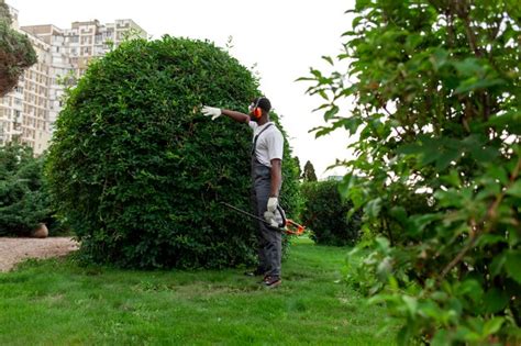 Premium Photo Garden Worker In Uniform Cuts Bushes And Lawn In Garden