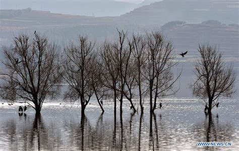 Migratory Birds Fly Over Yunnans National Nature Reserve 3