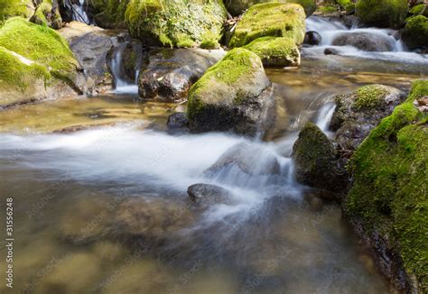 forest stream log exposure Stock Photo | Adobe Stock