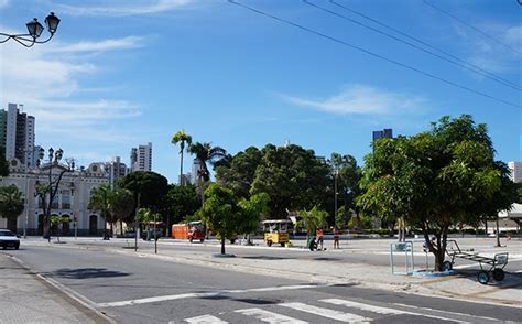 Nova Instrução Normativa estabelece diretrizes para projetos de arborização