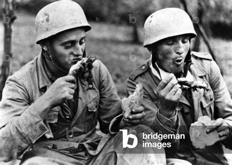 Image Of German Paratroopers At Monte Cassino 1943 B W Photo