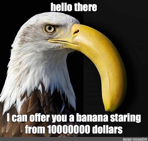 Create Meme Animal Eagle Bald Eagle Pictures Meme