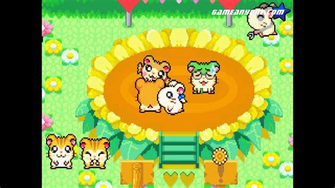 Let S Play Hamtaro Rainbow Rescue Part How Festive Youtube