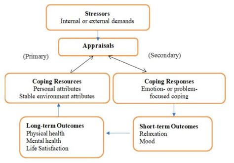 Transactional Theory Of Stress And Coping By Lazarus Folkman 1986