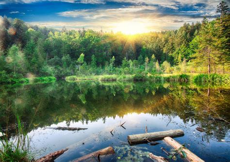 "Cranberry Lake" Images – Browse 32 Stock Photos, Vectors, and Video ...