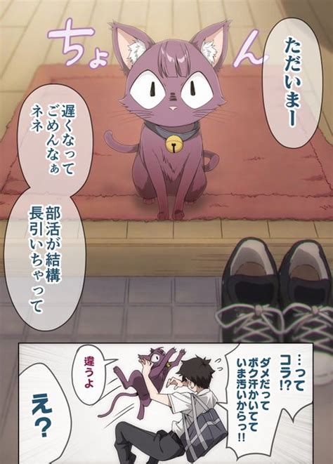 うちのヤンデレな飼い猫ちゃん① 1 2 小龍 ニートくノ一アニメ化🎉 さんのマンガ ツイコミ 仮