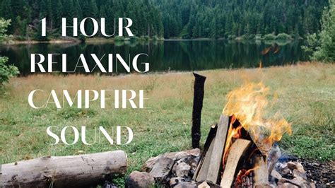 1 Hour Campfire With Relaxing River Sound Cracking Fire Sound Study