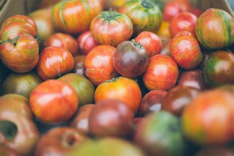 Tipi di pomodoro le 14 varietà italiane da riconoscere