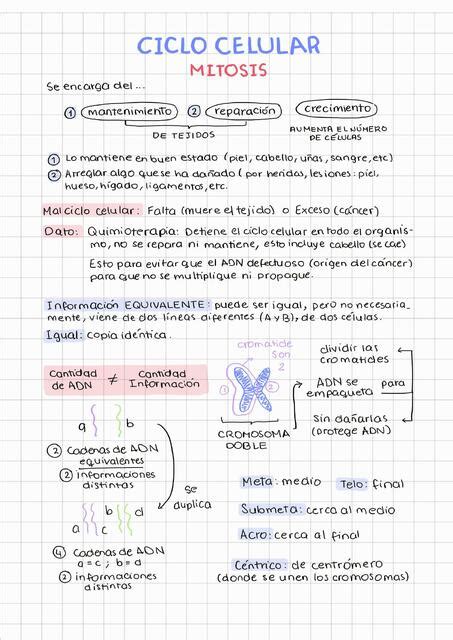 Ciclo Celular APUNTES PRE UNMSM UDocz