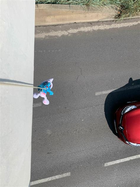 Vor Derby Tote Schlümpfe aufgehängt Blau Weiß Fans reagieren mit