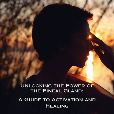 Power Of The Pineal Gland A Guide To Activation And Healing Lovetuner