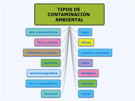 Mapa Mental De La Contaminaci N Ambiental Y Sus Tipos Free Hot Nude