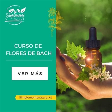 Completo Curso Online De Flores De Bach Simplemente Natural