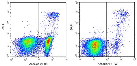 科研用 Annexin V Fitc Dapi细胞凋亡检测试剂盒 Elabscience 【官方网站】