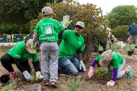 Volunteers Help Improve Green Space Clean Air In Arcadia 3bl Media