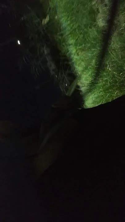 Pissing In Public Gay Big Cock Big Cock Porn Feat AlexAlejandro13 XHamster