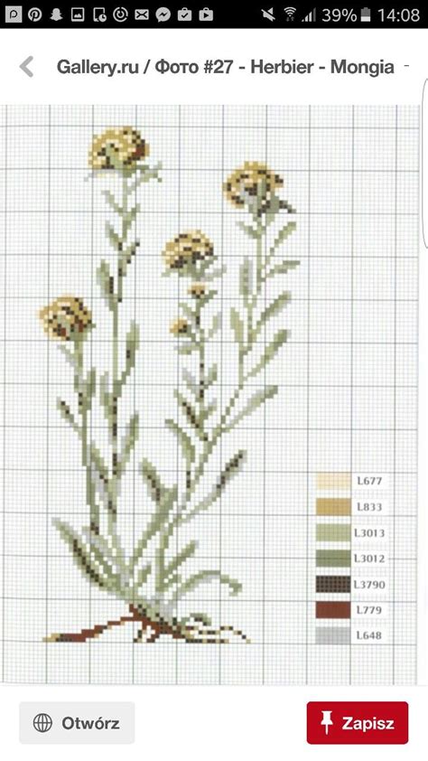 Pin By Amanda Szymanski On Crossstitch In Floral Cross Stitch