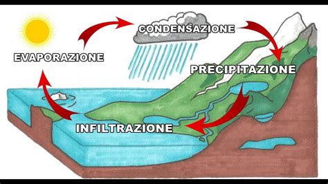 Il Ciclo Dellacqua Risorse Per La Scuola