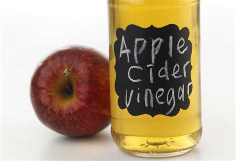 Does Apple Cider Vinegar Work for Fleas? - PatchPuppy.com