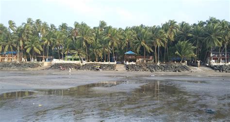 Gorai Beach Mumbai (History, Entry Fee, Images, Built by & Information ...