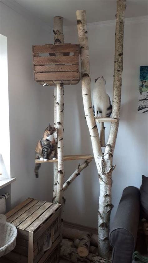 70 Brilliant Diy Cat Playground Design Ideas Your Beloved Cat Definitely Needs A Place To Play