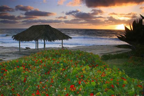 Tiki Hut Sunset Photograph by Scott Cunningham - Pixels