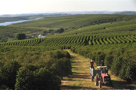 O Que é Necessário Para Um Agronegócio Sustentável Summit Agro