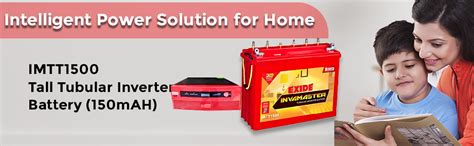 Exide Technologies 1050va Sine Wave Ups With Inva Master 1500 150ah Exide Tall Tubular Battery