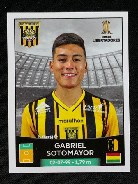 Panini Conmebol Copa Libertadores Sticker Gabriel Sotomayor