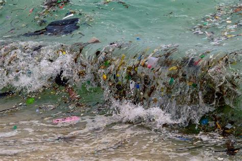 La Pollution Plastique A Atteint Toutes Les Parties Des Océans 24