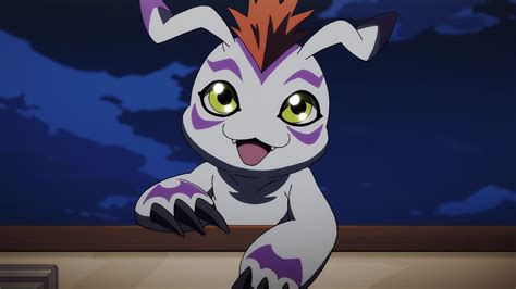 21 Fakten über Digimon Gomamon Evolution Gomamon Heute Zeige Ich Euch Wie Man Joe`s Bgeleiter