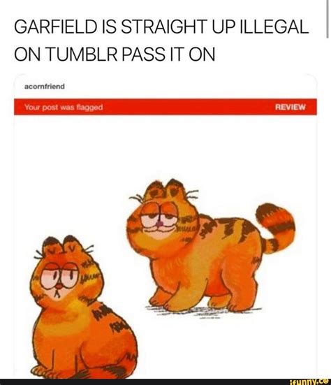 GARFIELD IS STRAIGHT UP ILLEGAL ON TUMBLR PASS IT ON ncomfrimd - iFunny ...