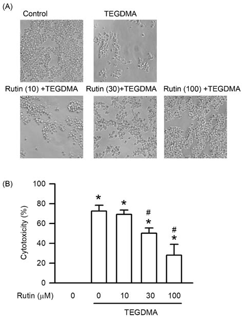 Ijms Free Full Text Protective Effect Of Rutin On Triethylene