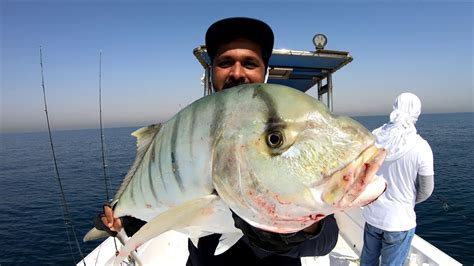 Jigging For Giants Deep Sea Adventures With Kingfish And Golden