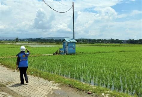 Dukung Program Pompanisasi Kementan Gencarkan Gerakan Listrik Masuk