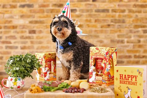 5 Ways To Make Your Poochs Birthday Party Perfect