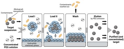 Membranes Free Full Text A Summary Of Practical Considerations For The Application Of The