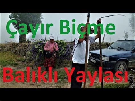 Yaylada Ay R Nas L Bi Ilir Trabzon Youtube