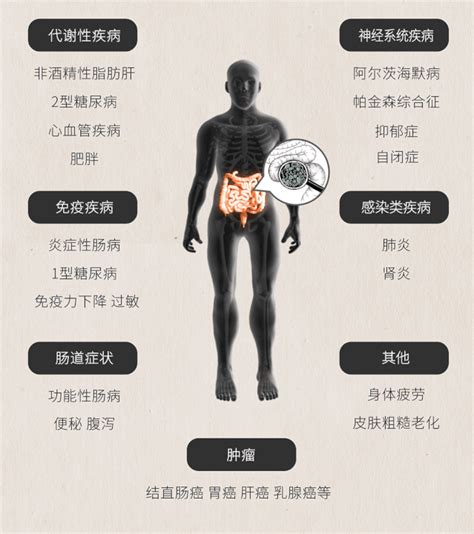 肠道菌群检测全解读 知乎