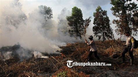 Puncak Kemarau Diprediksi Bulan Juli 2023 Panasnya Melebihi Tiga Tahun