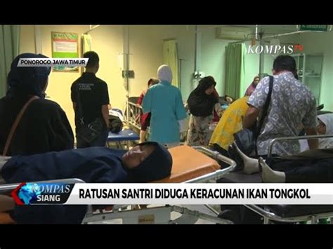 Diduga Karena Ikan Tongkol Ratusan Santri Keracunan YouTube