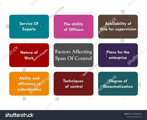 Eight Factors Affecting Span Control Infographic Stock Vector (Royalty ...