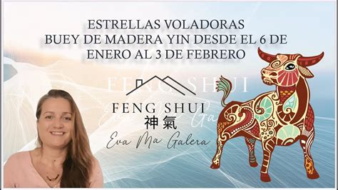 Feng Shui Estrellas Voladoras Bazi Y Energ As Enero Mes Del Buey De