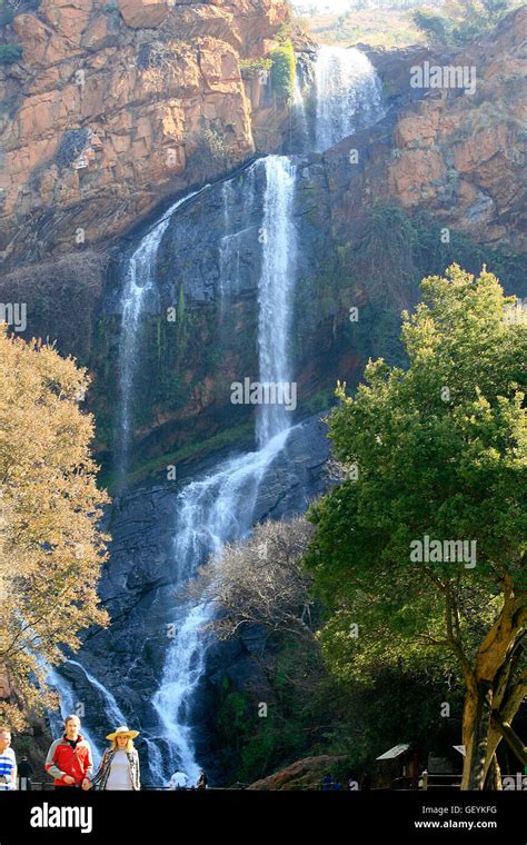 Witpoortjie Waterfall, Walter Sisulu National Botanical Gardens ...