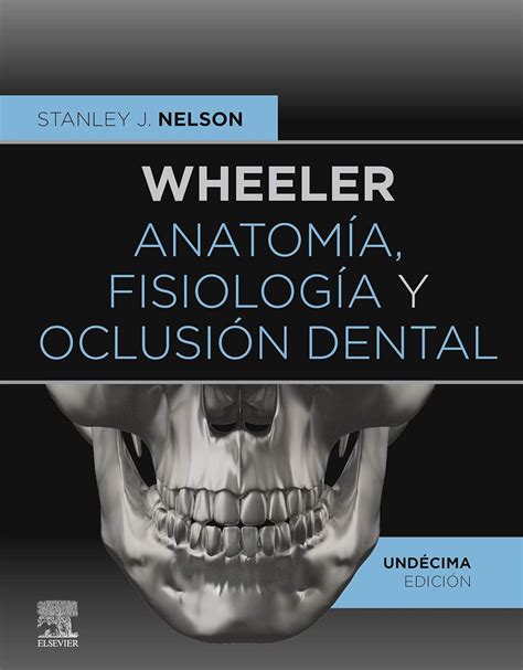 Wheeler Anatom A Fisiolog A Y Oclusi N Dental Ebook Nelson Stanley