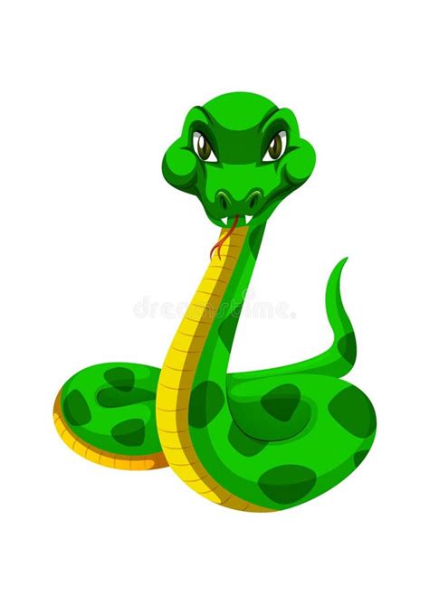 Caricatura De Serpiente Verde Sobre Fondo Blanco Serpiente Vectorial