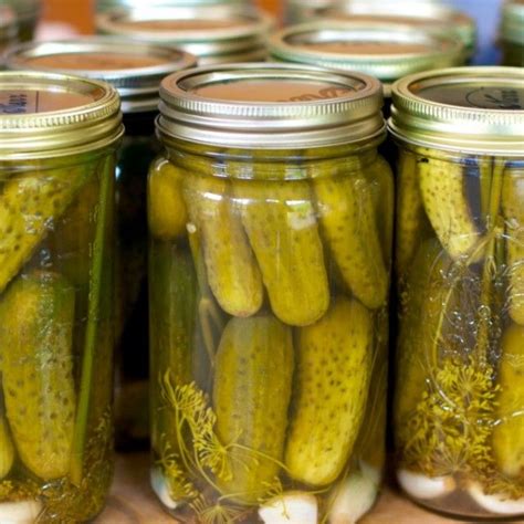 Kosher Dill Pickles Homemade Pickles Dill Kosher Dill Pickles Butter