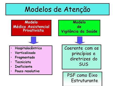 Quais São Os Tipos De Vigilância Em Saúde