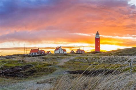 Maart Op Texel Kom Genieten Van Het Voorjaar Bij De Krim Texel