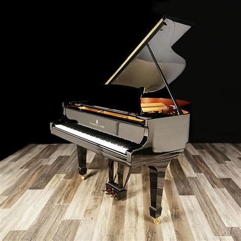 1926 Steinway Grand Model M High Gloss Ebony Reverb